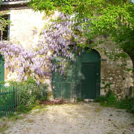 Maison Charmante Avec Terrasse Et Jardin A Noves Buitenkant foto